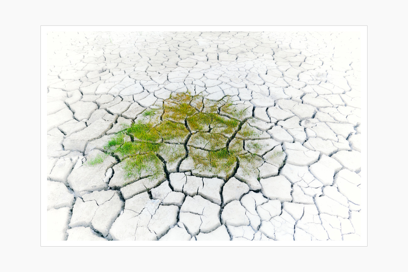 Max Schiefele Alle Bilder DSC00126